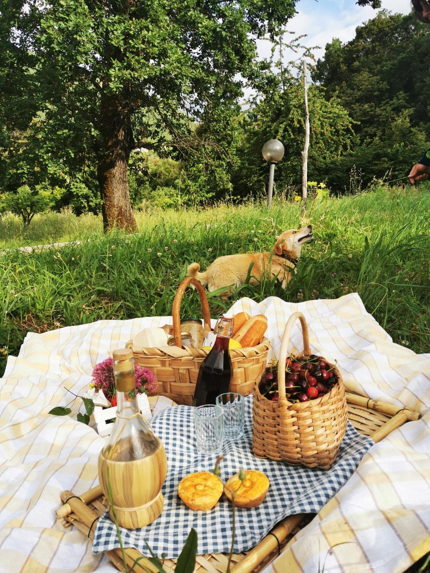 Agriturismo Donna Bianca Mormanno Buitenkant foto